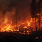 California Wind Fires