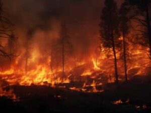 California Wind Fires