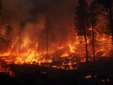 California Wind Fires: Ed Kluska’s Astrology Timing Report, Sunday, January 12, 2024